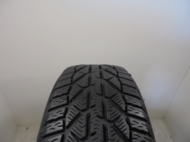 STRIAL Suv winter reifen